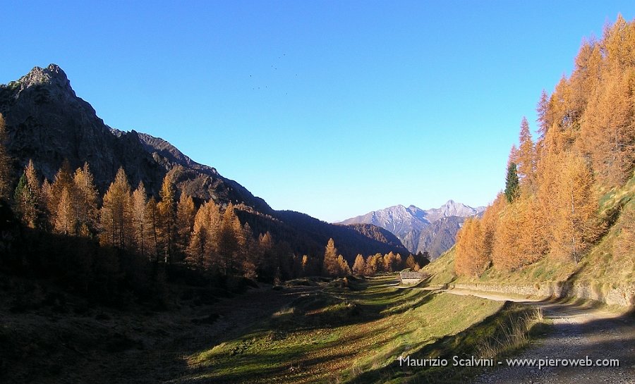 05 Uno sguardo al Pegherolo.JPG